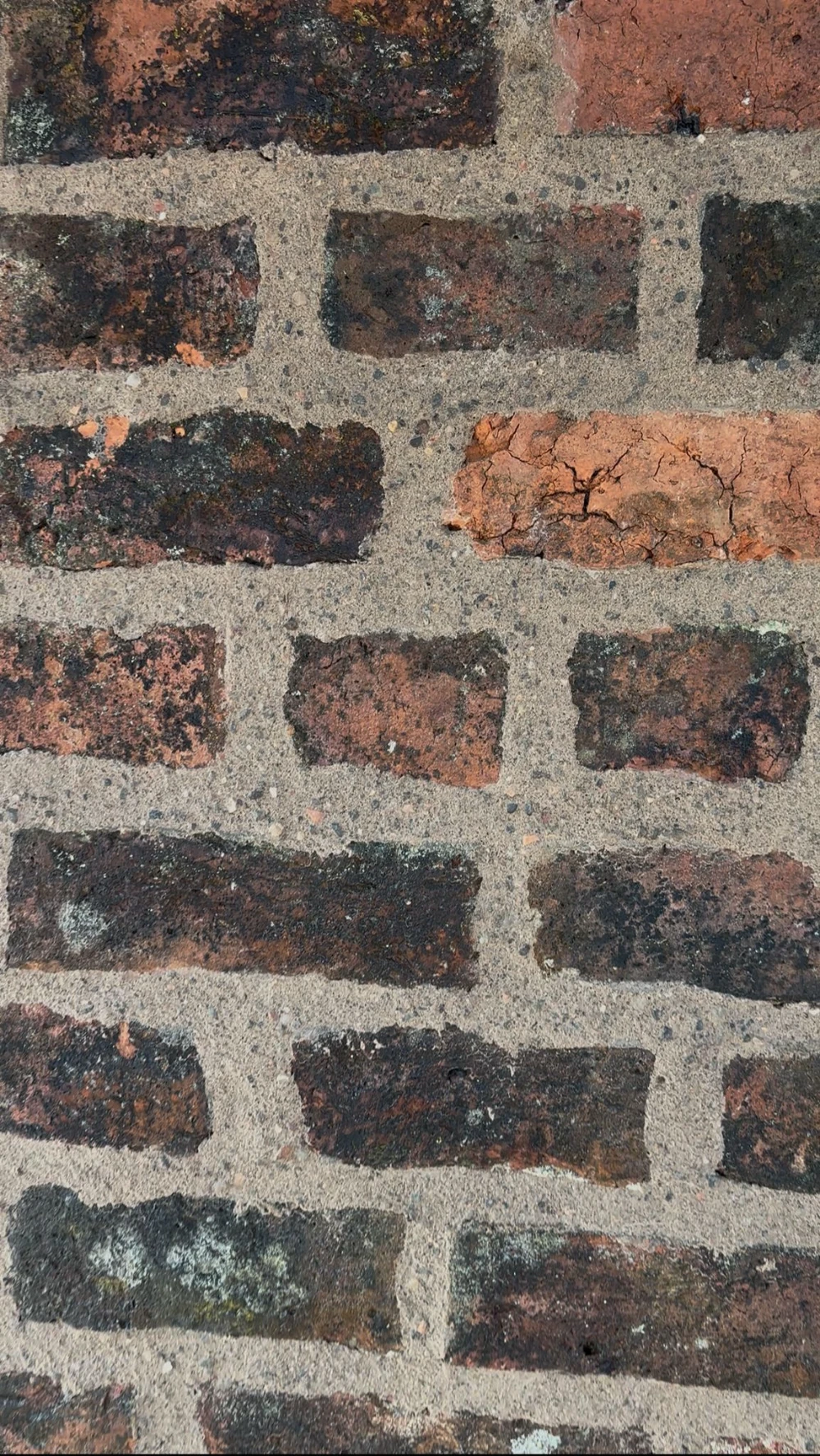 200 + year old bricks repointed with appropriate NHL 5 mortar